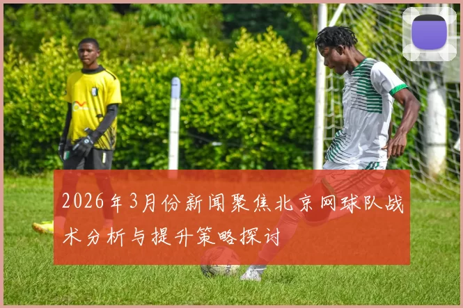 2026年3月份新闻聚焦北京网球队战术分析与提升策略探讨